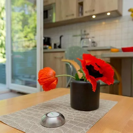 Appartement Usedom Ahoi App 1